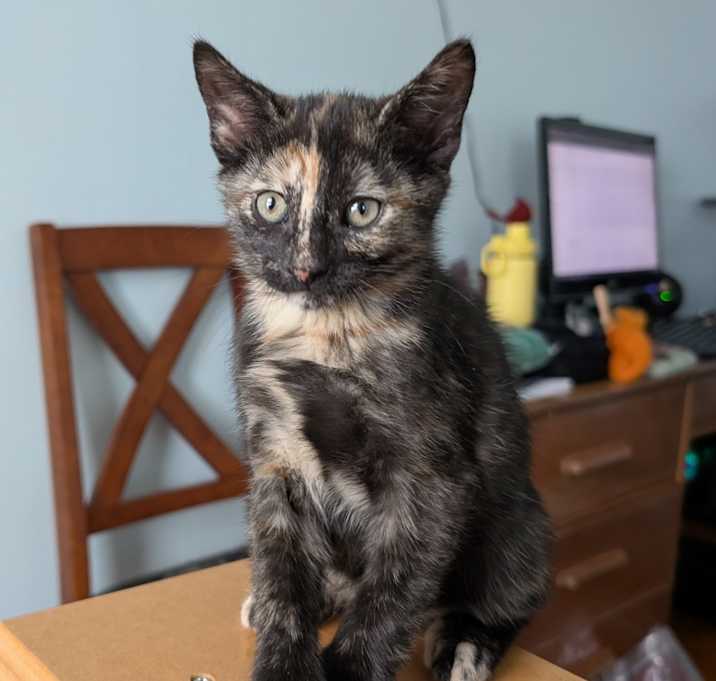 Photo of Autumn - See my video!