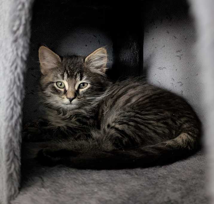 Photo of Hazel - See my video!