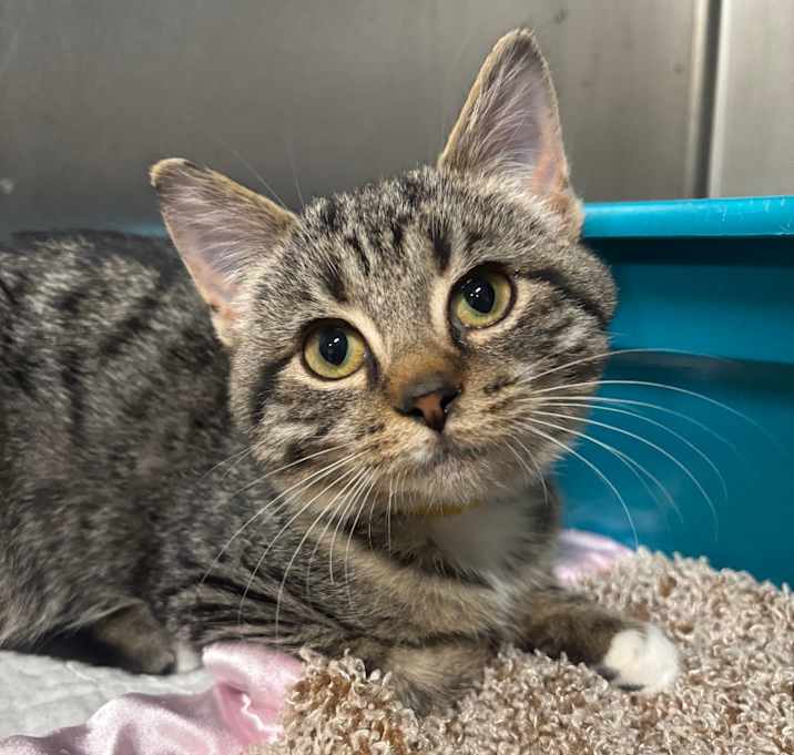 Photo of Fiona 107C25