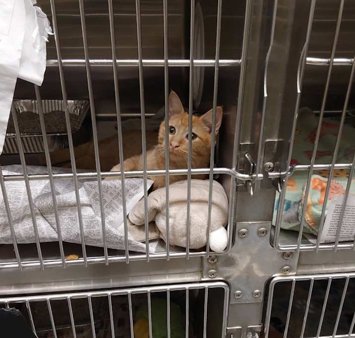 Photo of 2025-10-179