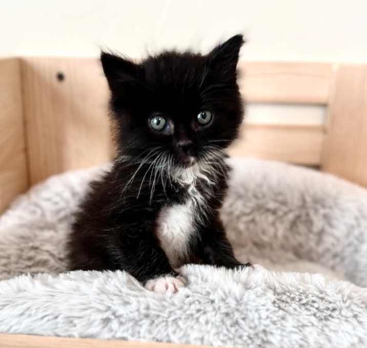 Photo of 91226 Milky Way