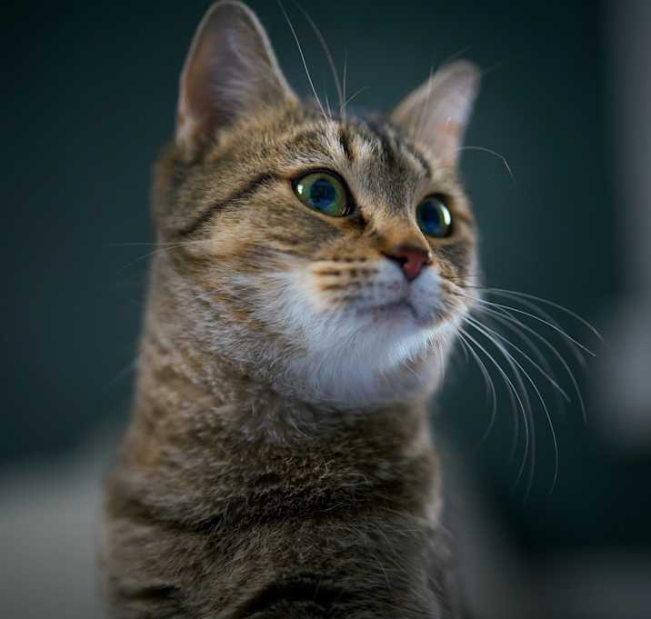 Photo of Ellie C65520