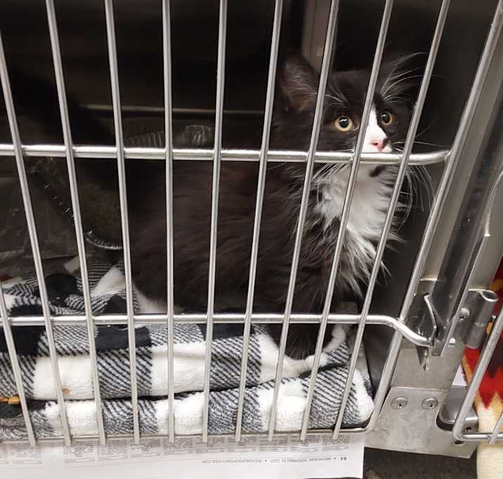 Photo of 2025-10-183