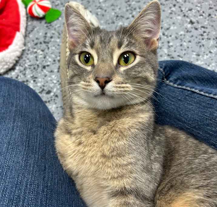 Photo of Splash 27224