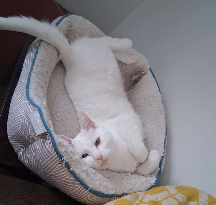 Photo of Prince Louis