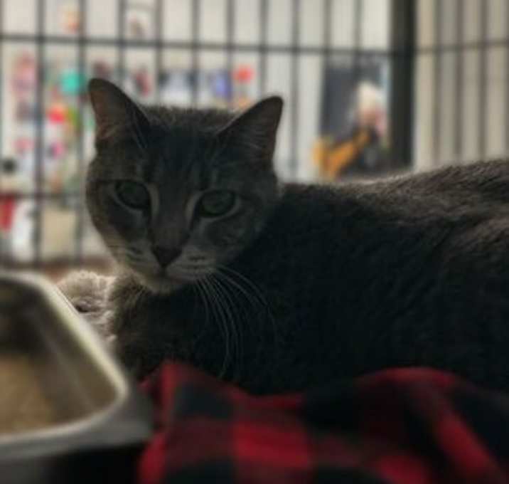 Photo of Pacific Punch