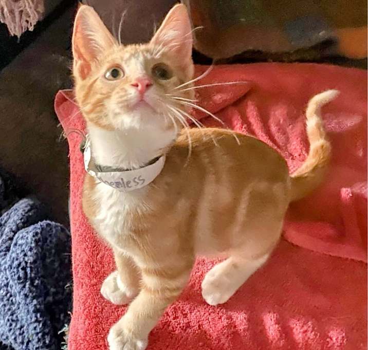 Photo of Hubba Bubba