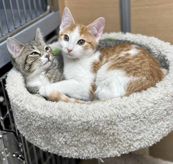 Photo of Nash and Kikki