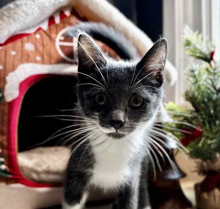 Photo of Rita: Pre-Adoption