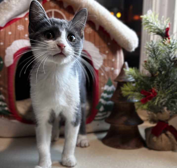 Photo of Vera: Pre-Adoption