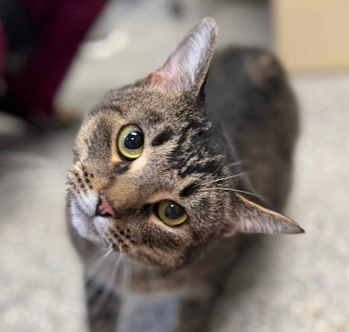 Photo of Mr. Peabody