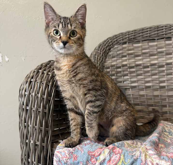 Photo of Cindy Birdsong