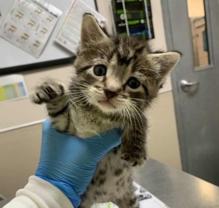 Photo of Charlie Brown