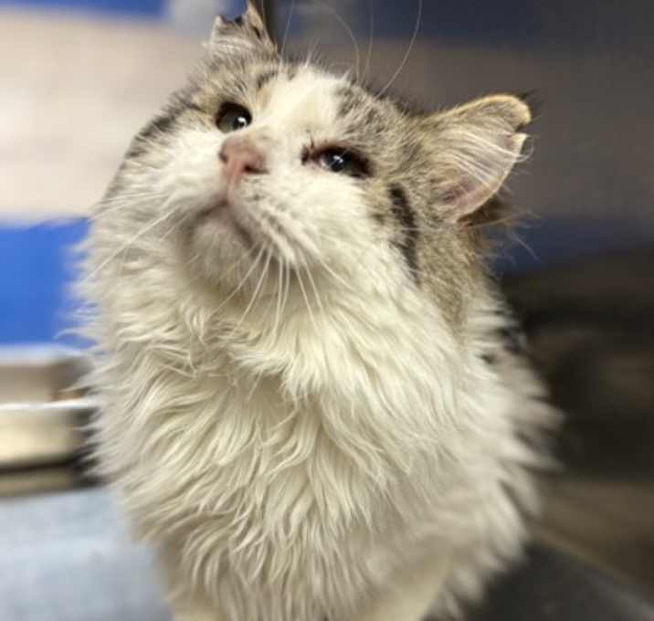 Photo of Slick TCR4 12/3/25