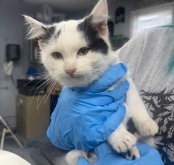 Photo of Night Light