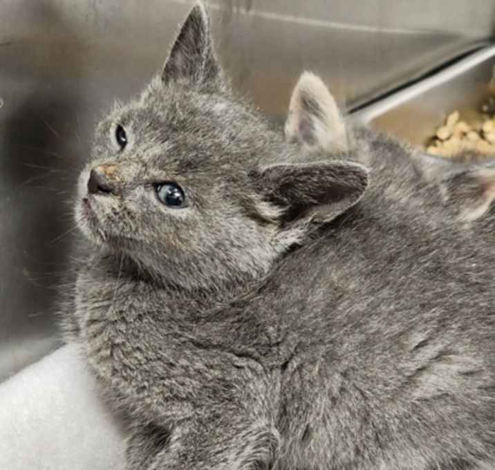 Photo of Bonnie (Chloe)