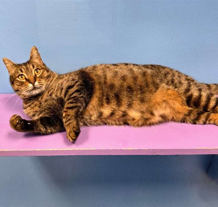 Photo of FORREST FRANK