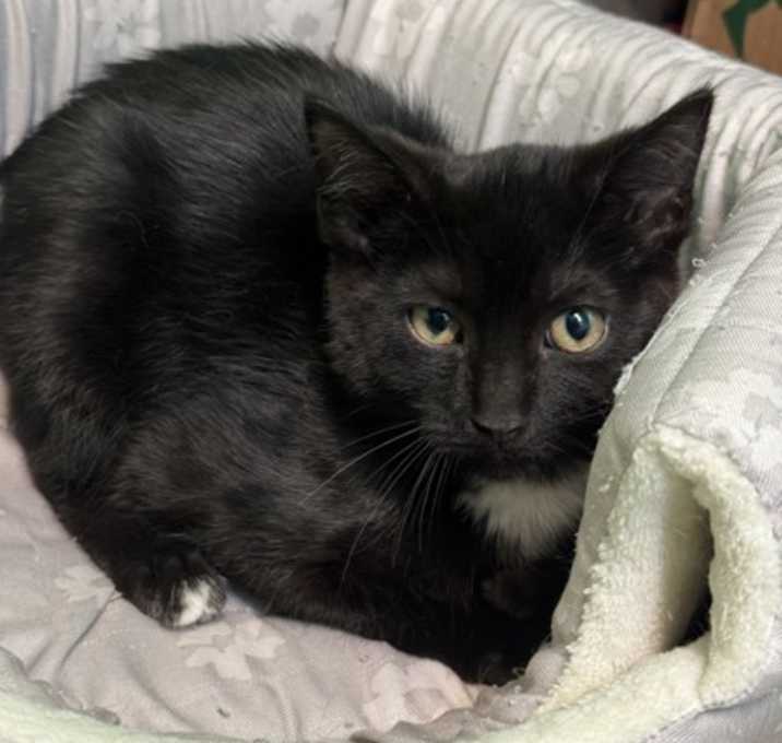 Photo of Fin Tutuola