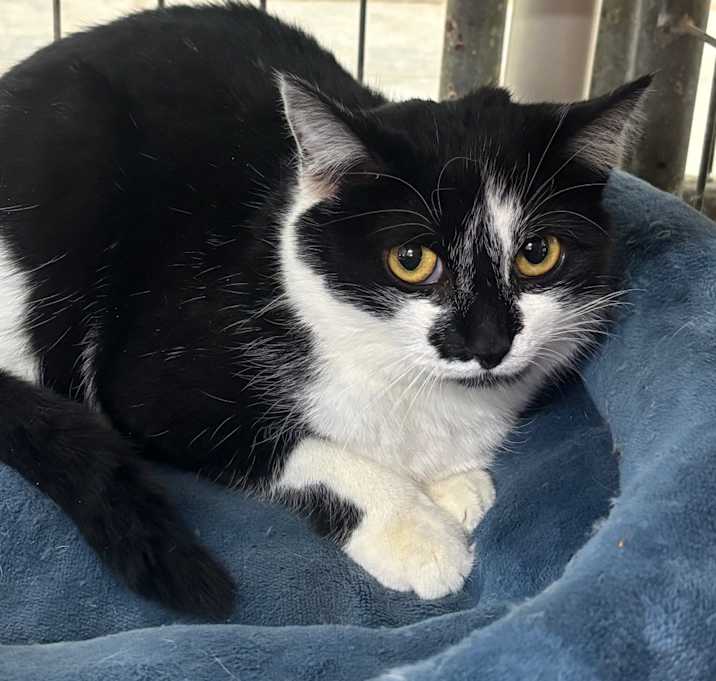 Photo of A Christmas Carol