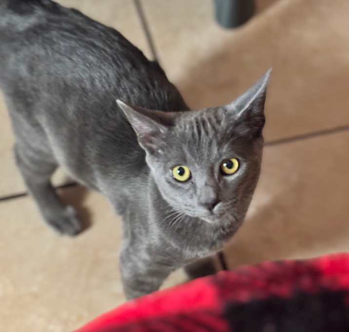 Photo of Marty McFly