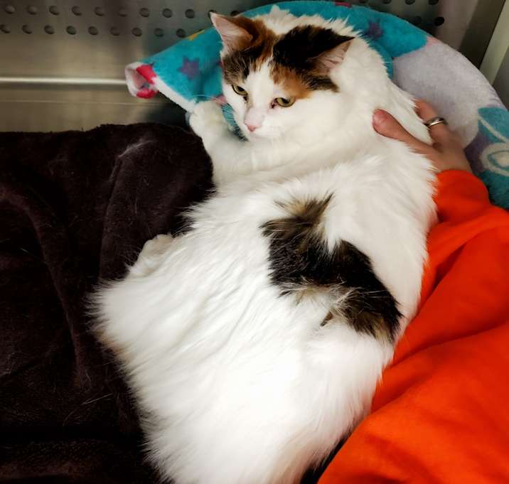 Photo of Pretty Girl