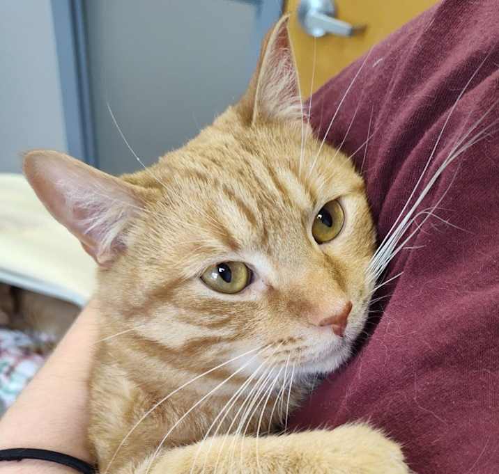 Photo of Santa Claws