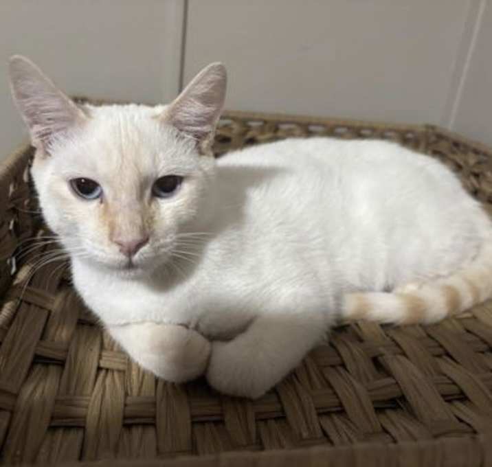 Photo of Blizzard Boy Junction