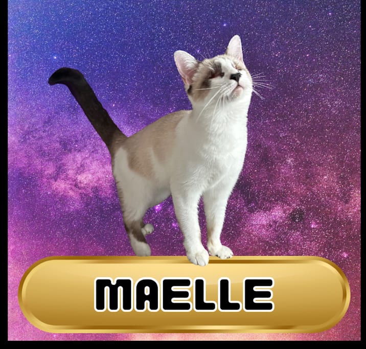 Photo of Maelle