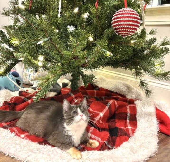 Photo of Miss Direction