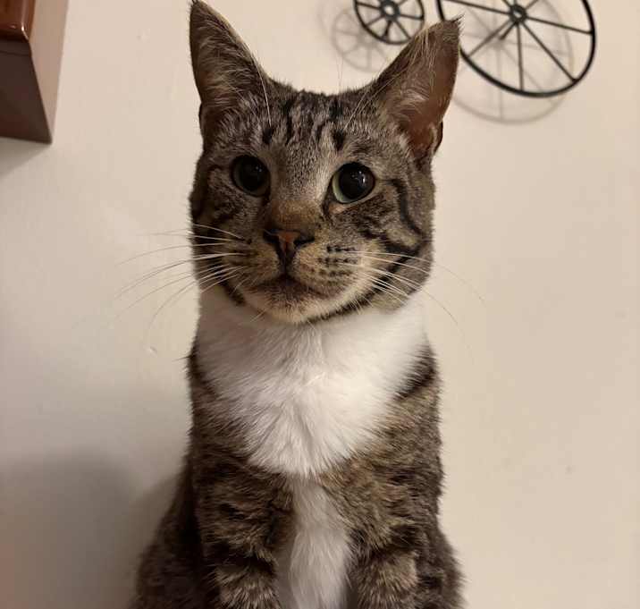 Photo of Tangerine Pafford-HW