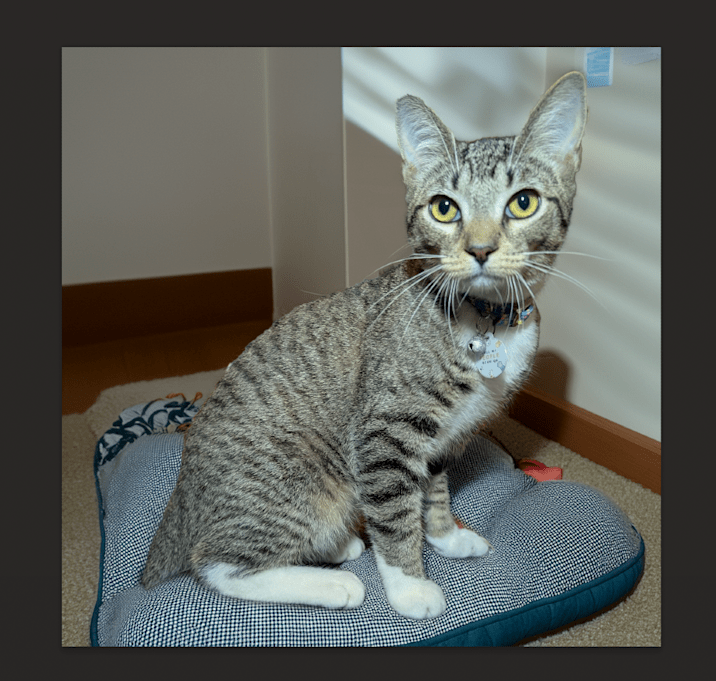 Photo of Charlie Charmer