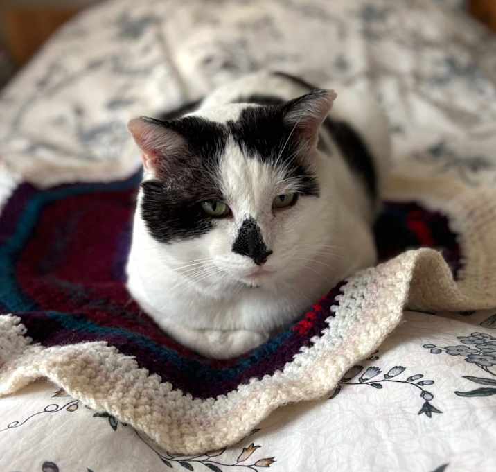 Photo of Steel (The BIG Lebowski)