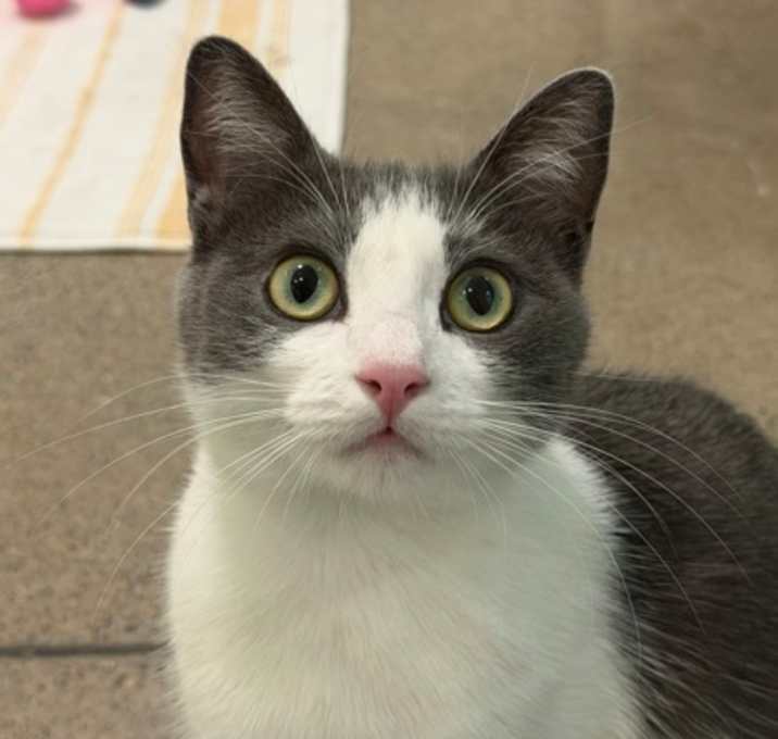 Photo of Jelly Belly