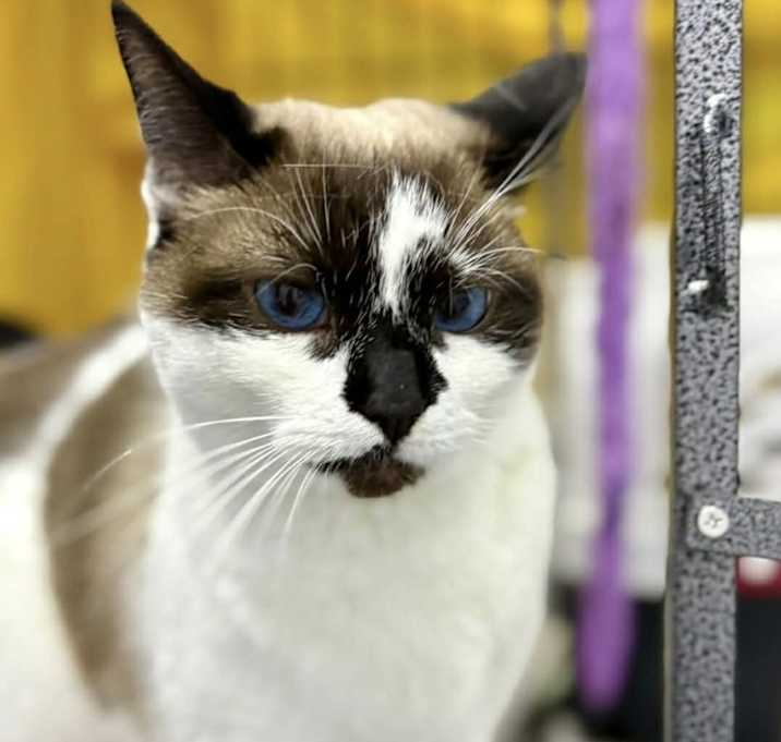 Photo of Cora Fka Olivia