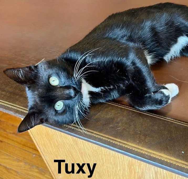 Photo of Tuxy