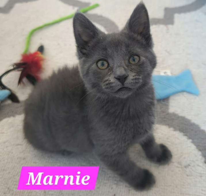 Photo of Marnie