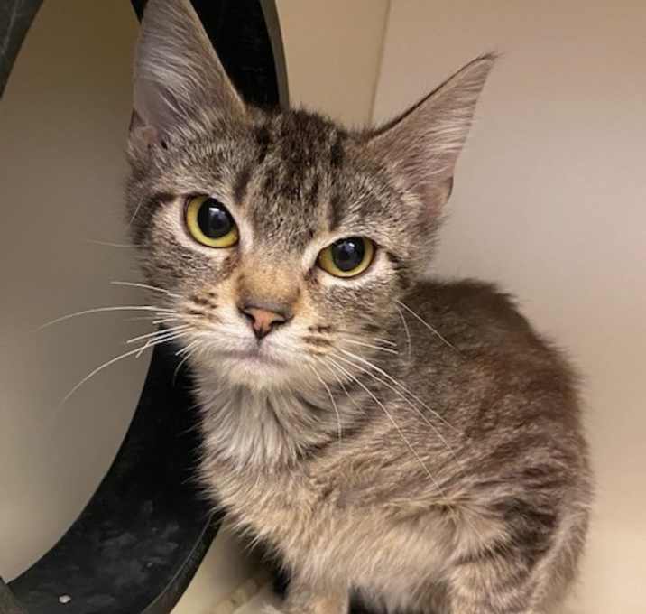 Photo of Betty Lou Who