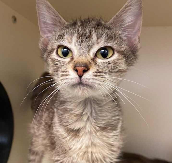 Photo of Miss Rue Who