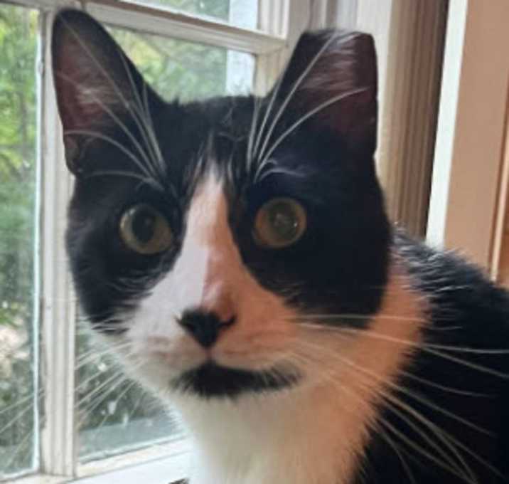 Photo of Mr Friendly Kershaw