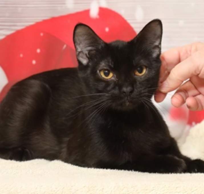 Photo of Mische FKA Mom 2