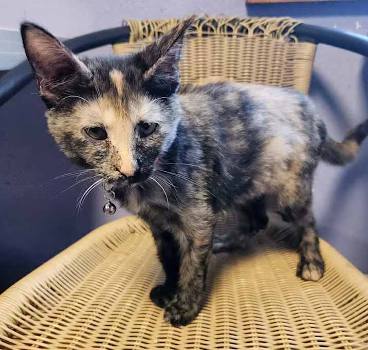 Photo of Madison Lou