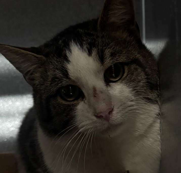 Photo of Marty McFLy