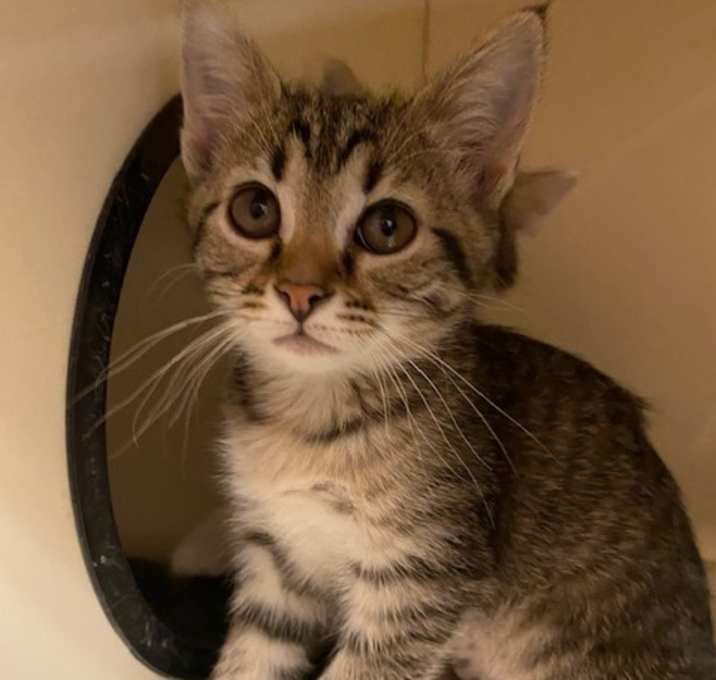 Photo of Jolly Gumdrop