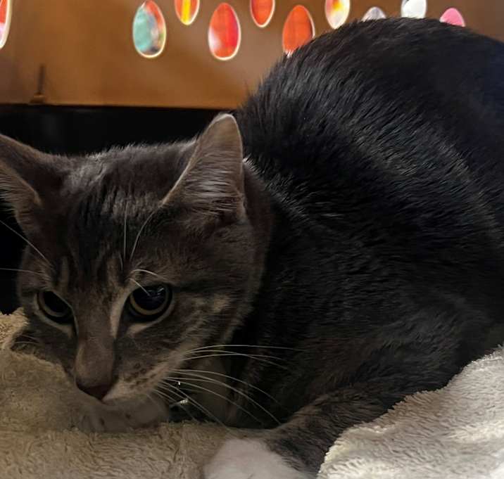 Photo of Cousin Eddie