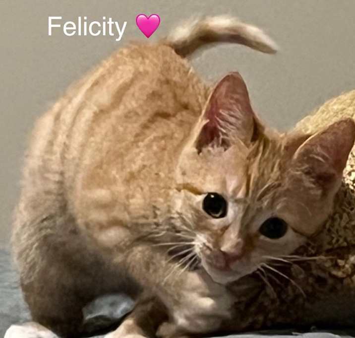 Photo of Felicity