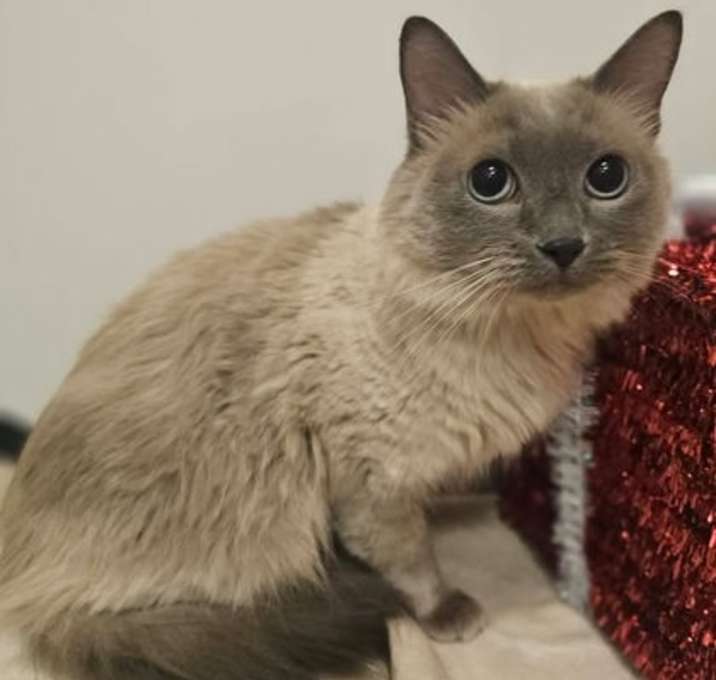 Photo of Pretty Girl