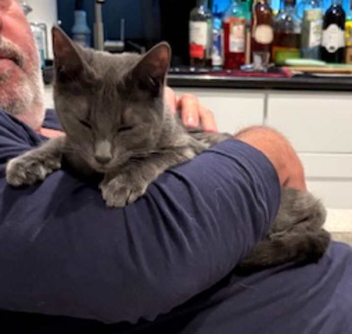 Photo of Lil Spliff - In Foster