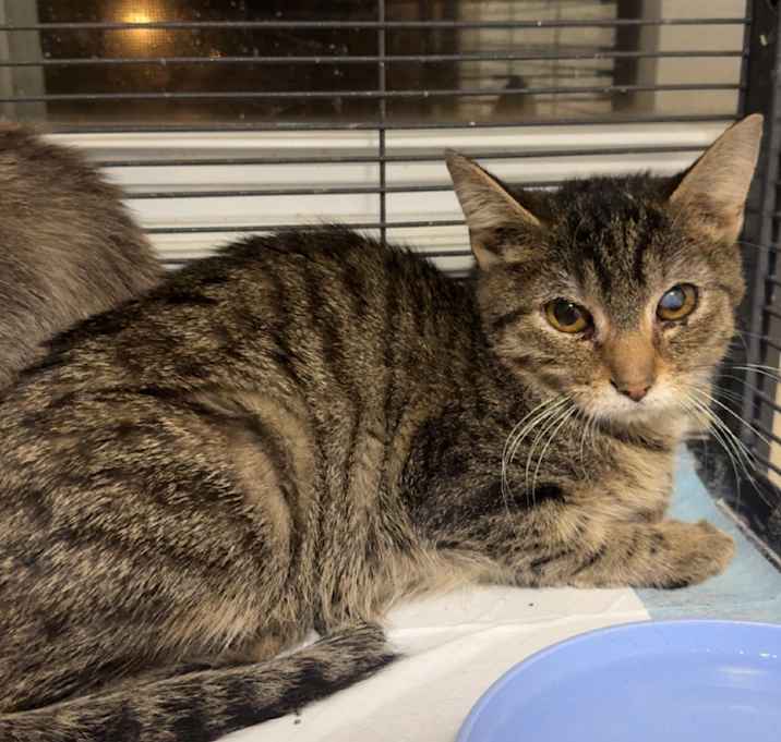 Photo of Billy Hargrove