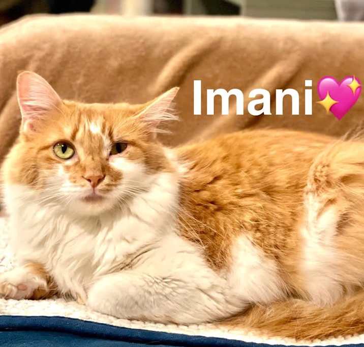 Photo of Imani