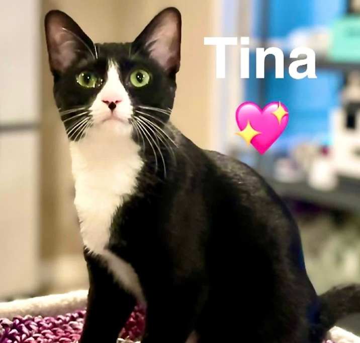 Photo of Tina